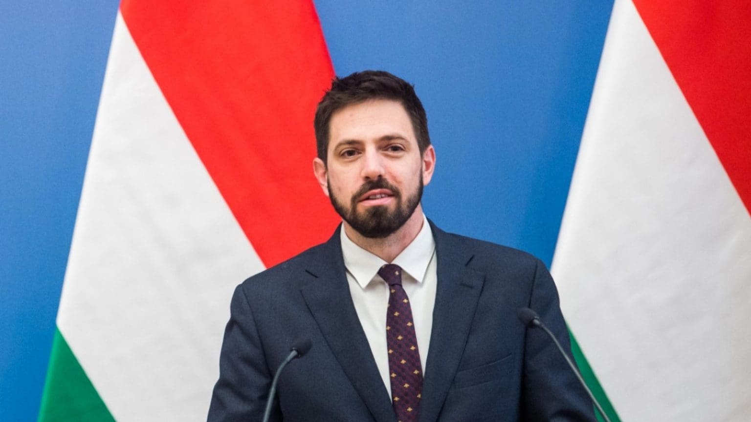 Hungarian State Secretary: ‘Hungary Will Continue to Support Ukraine’