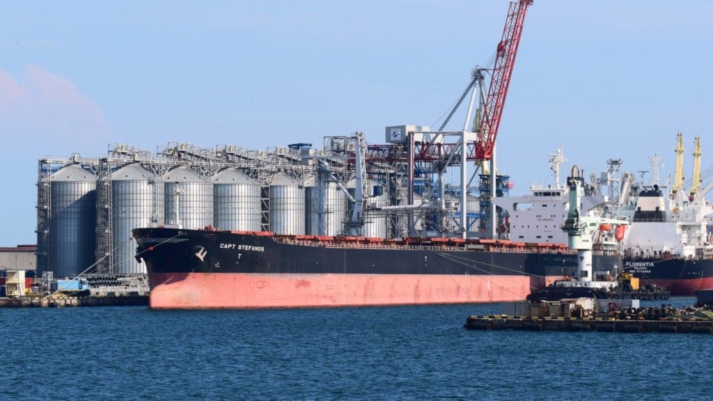 Grain Is Back on the Table: Black Sea Ports Reopened