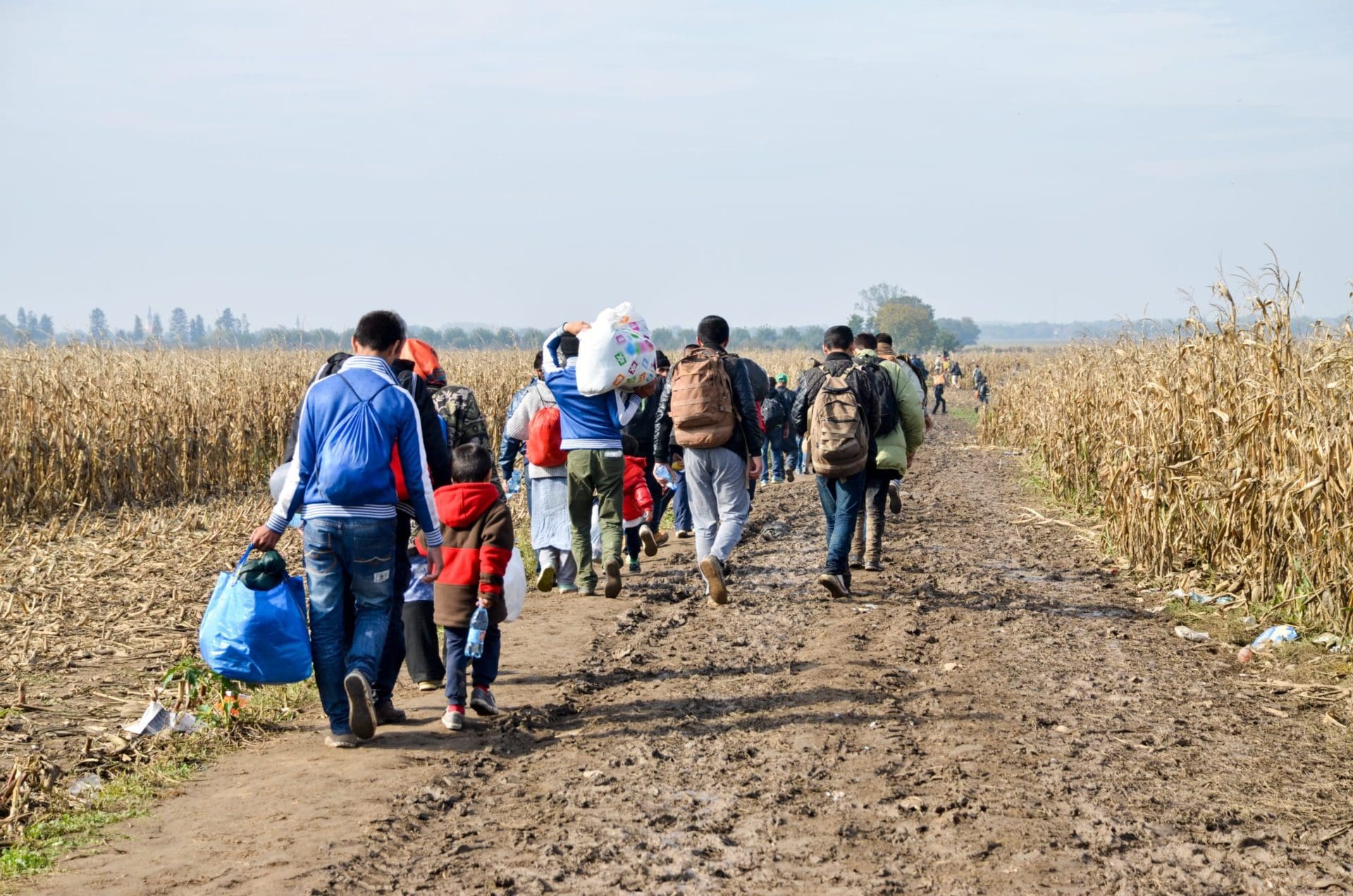 Border,Between,Serbia,And,Croatia,,3,Nov,2015:,Group,Of