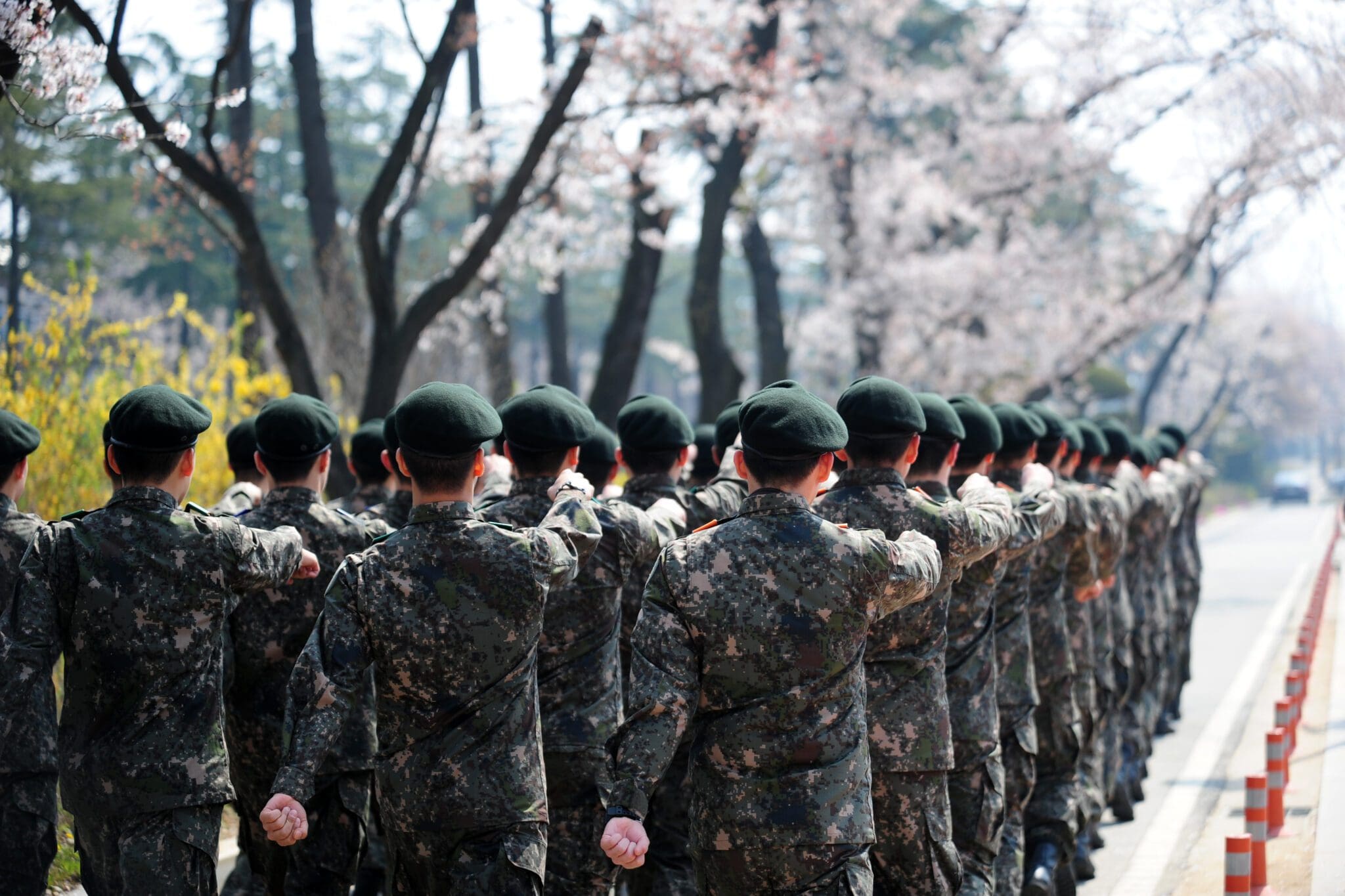 армия северной кореи. солдаты южной кореи. Korea army. военная форма солдата кндр. армия южной кореи.