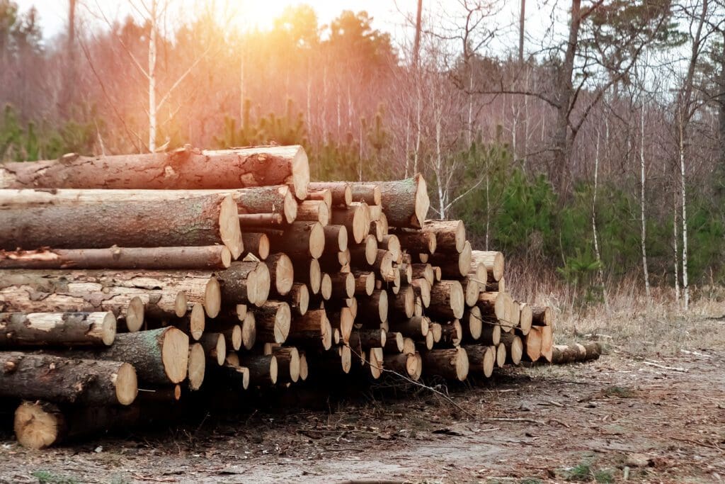 While Serbia Struggles for Firewood, Hungary Produces More
