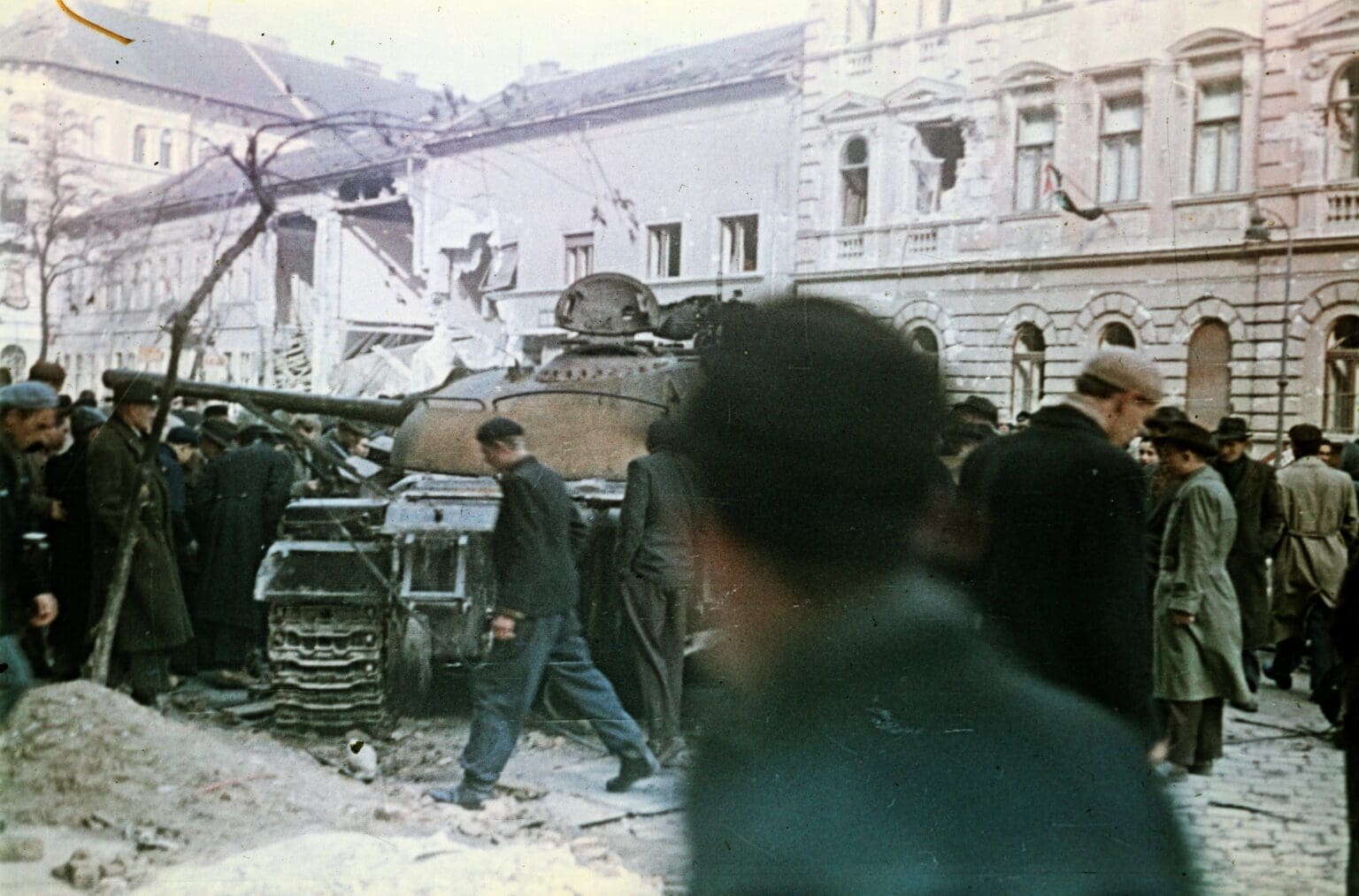 Commemorating the Revolution and Freedom Fight of 1956