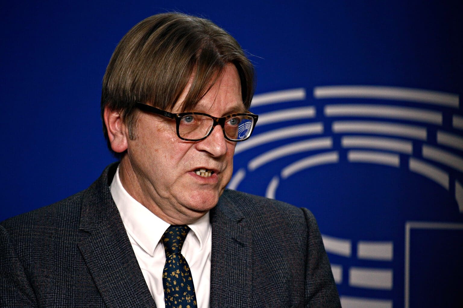 Verhofstadt Would Replace Hungary with Ukraine