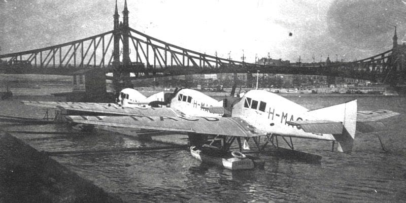 Silver Birds on the Danube Bank