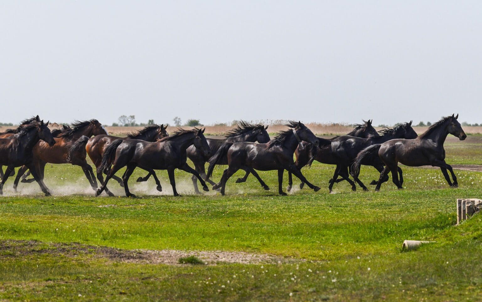 Hungary’s First National Park Celebrates its 50th Anniversary