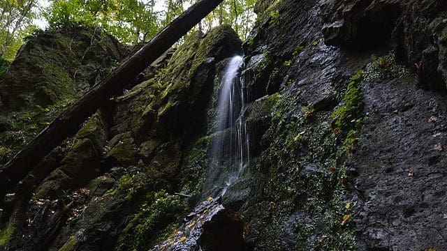 A Romantic Tour in Hungarian Nature on Valentine’s Day