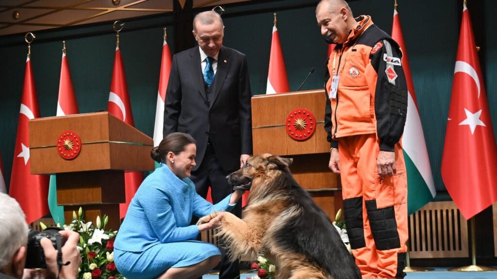 Hungarian President Meets Turkish Counterpart 