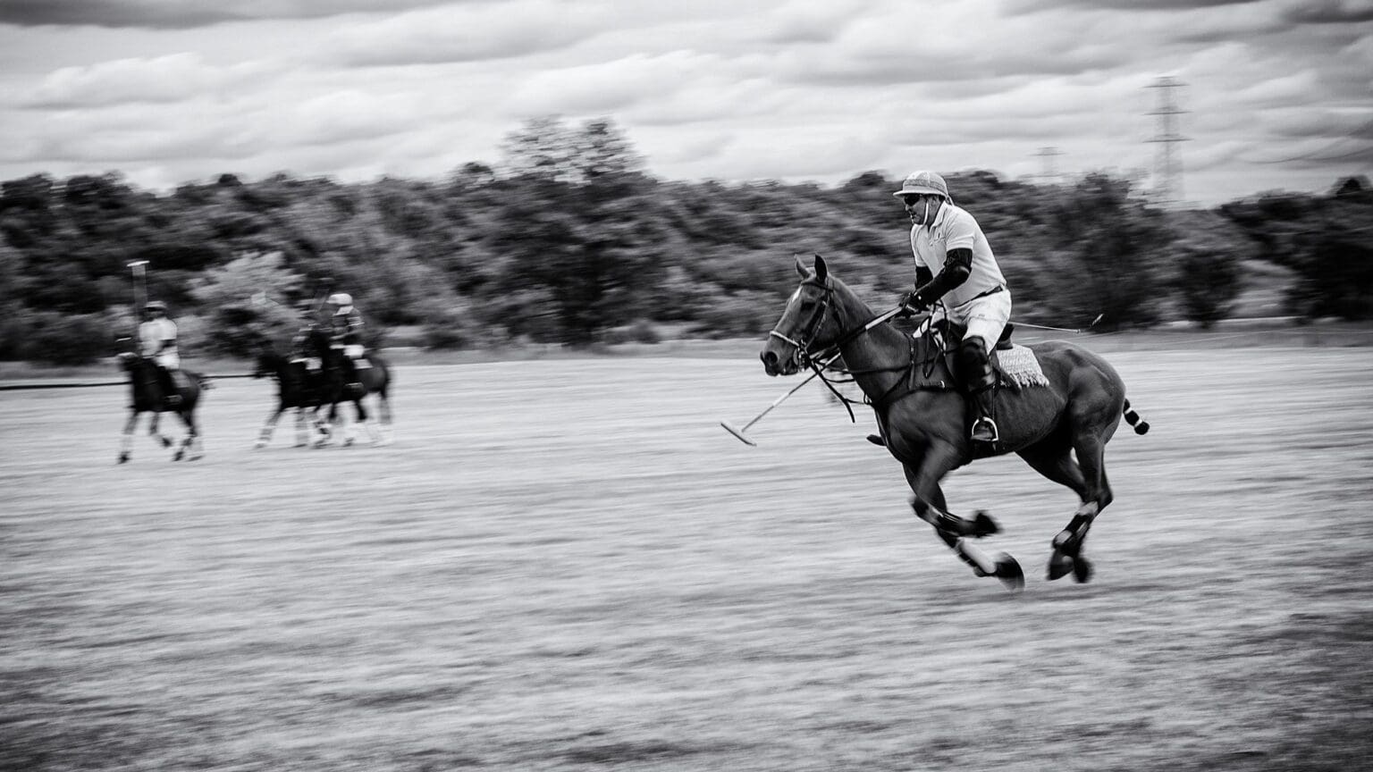 The Renaissance of Hungarian Polo