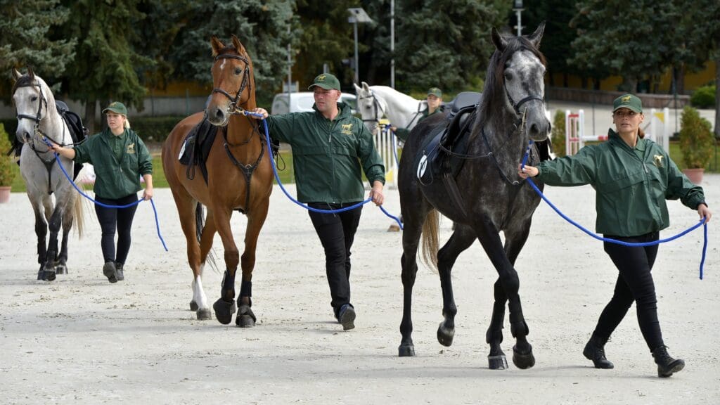 Horses in the Hungarian Cultural Heritage