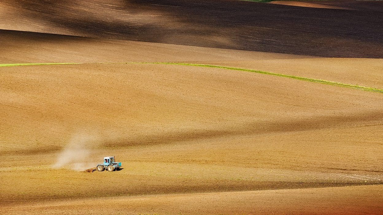 Central and Eastern European Ministers Pressure EC to Deal with Ukrainian Grain Glut Crisis