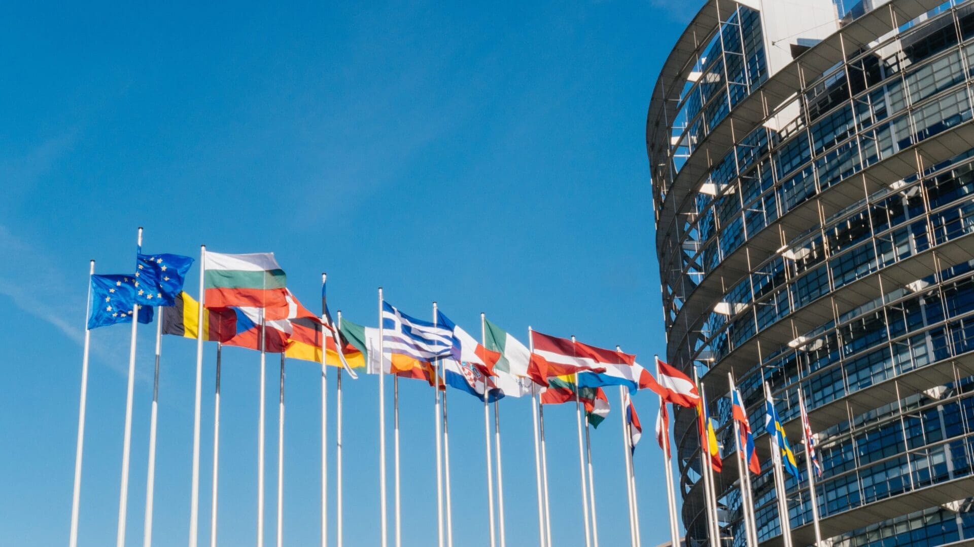 Flags of the Member States outside the building of the European Parliament.