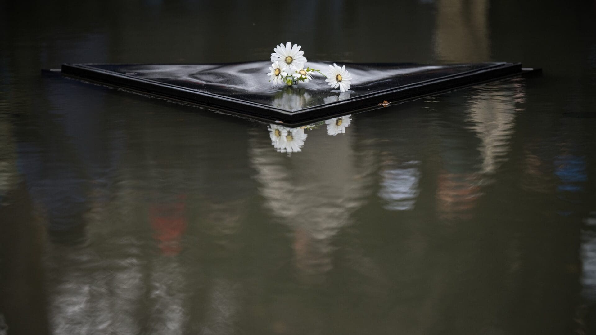 Flowers laid on the triangular stone at the centre of a memorial pool of the Memorial to the Sinti and Roma Victims of National Socialism at the Tiergarten in Berlin on 27 January 2023.