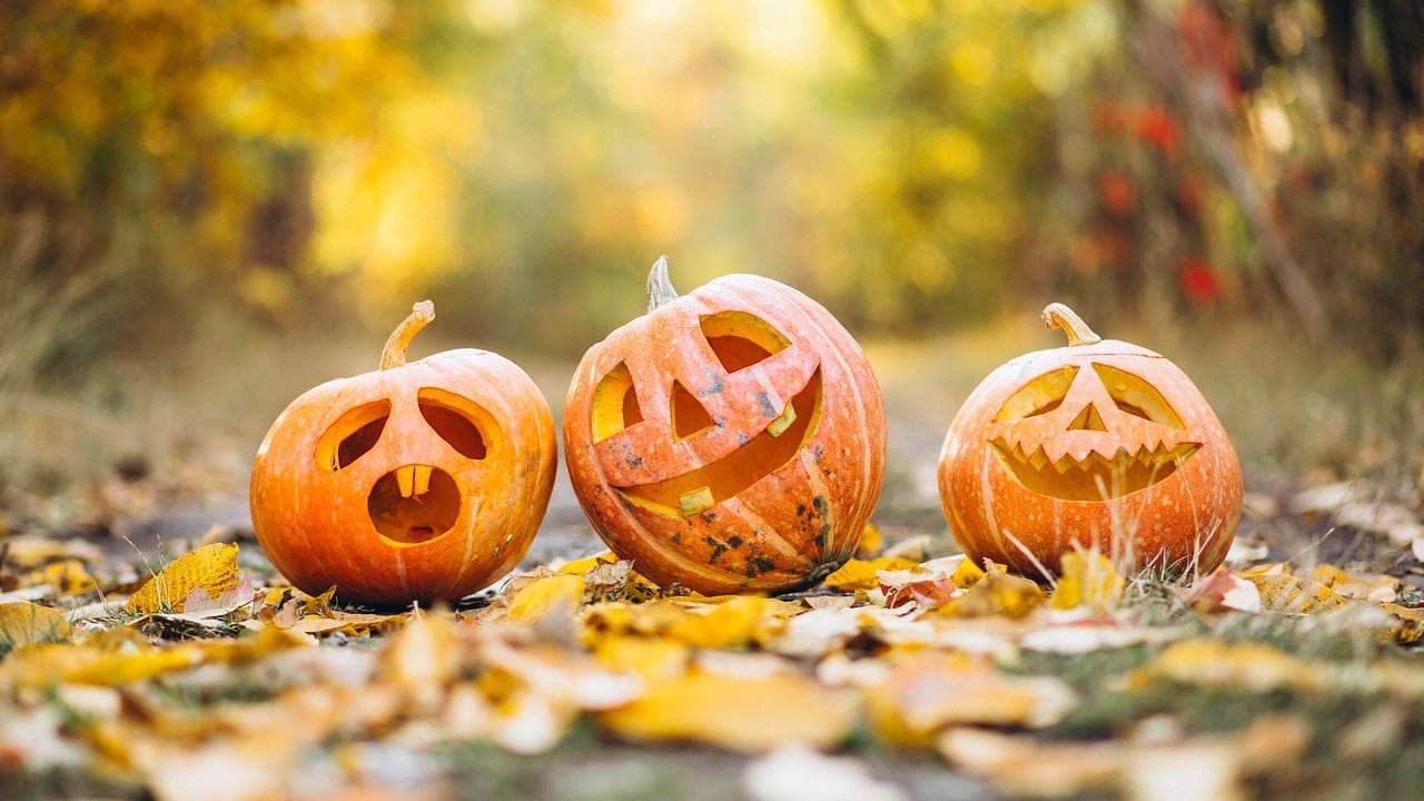 Halloween: the Meaning, History and Christian Response