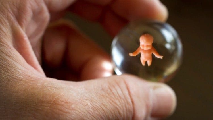 Foetal Personhood and the Right to Life