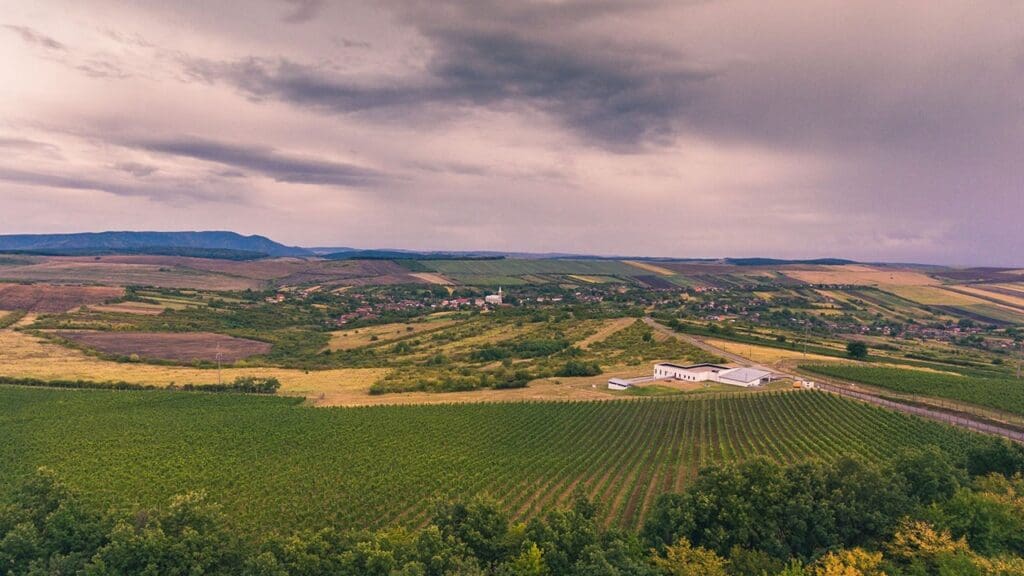 Transylvanian Winery Wins Blanc de Blancs World Champion Title at World’s Most Prestigious Competition
