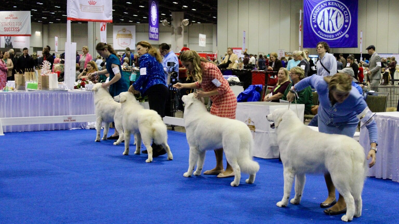 The Four-Legged Ambassadors of Hungarian Culture Paraded in Orlando