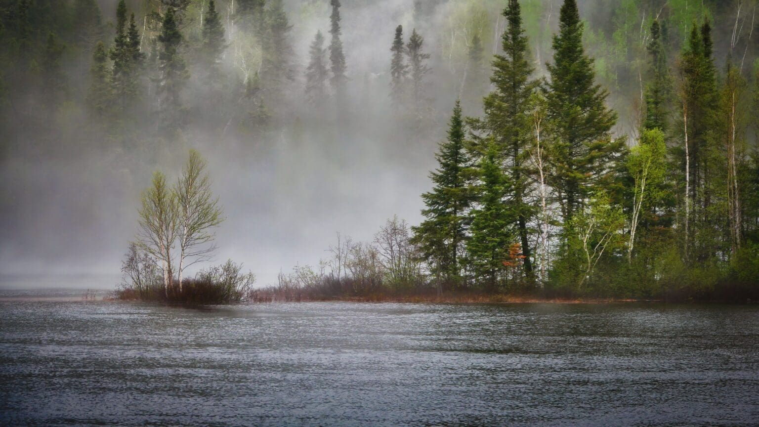 National Reforestation Programme Gains Momentum with New Funding