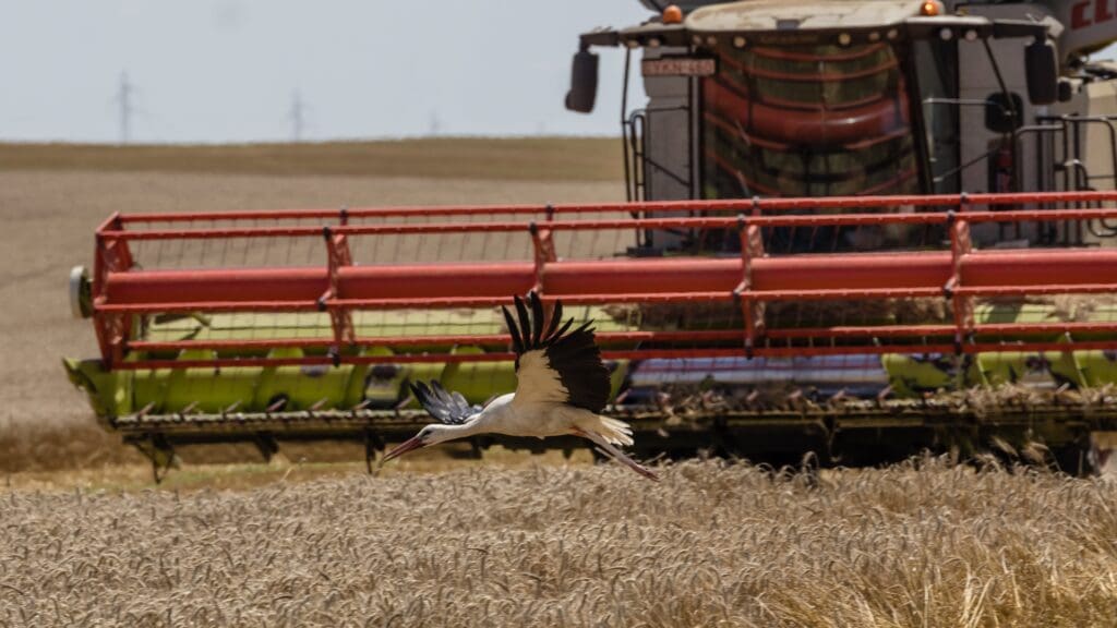 Agriculture Minister Calls for Solidarity in Response to EU’s Handling of Ukrainian Grain Issue