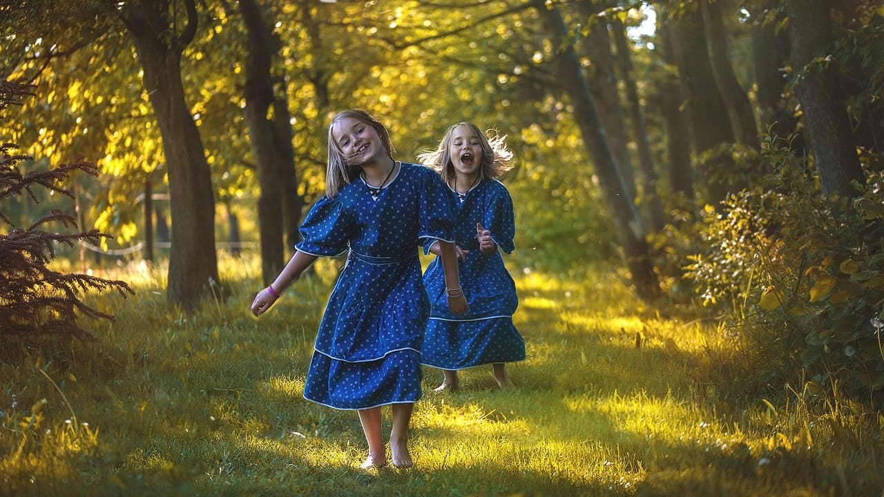 Twins Are Multiple Treasures for the Family, But What Do We Really Know About Them?