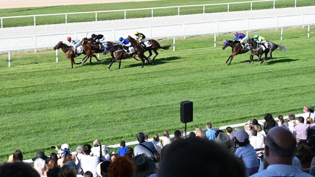 Horse Racing Season Kicks Off at Kincsem Park this Sunday