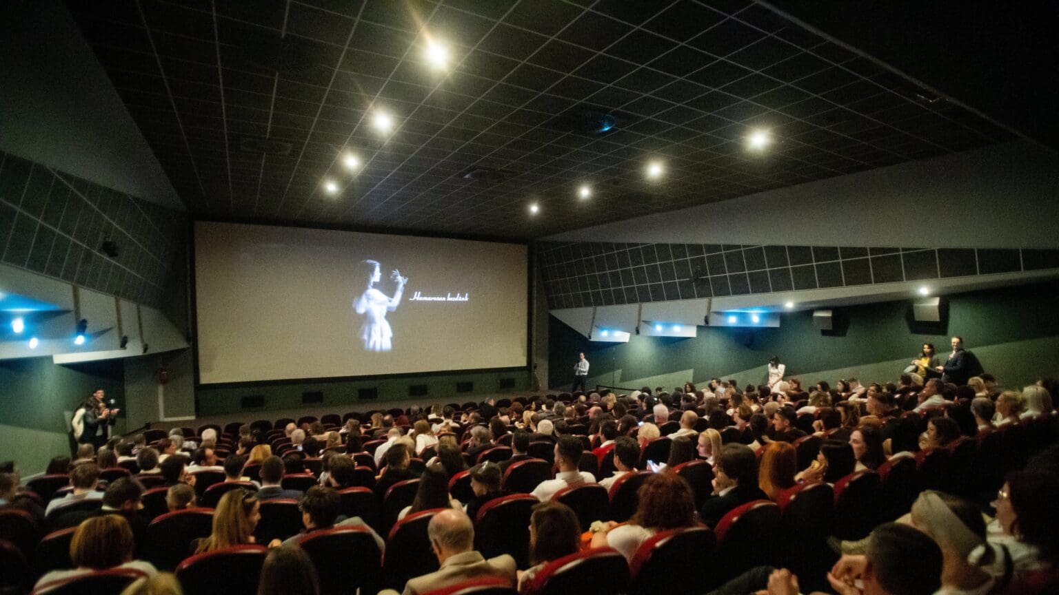 National Film Institute Boasts a Prolific 2024