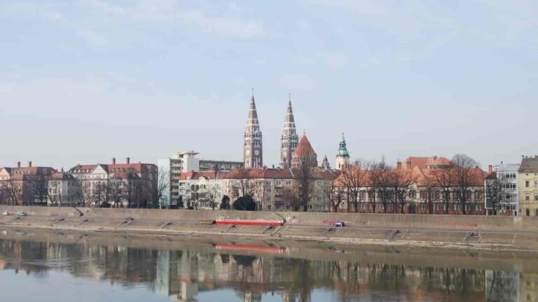 Drug Dealers Disguised as Delivery Men Busted in Szeged