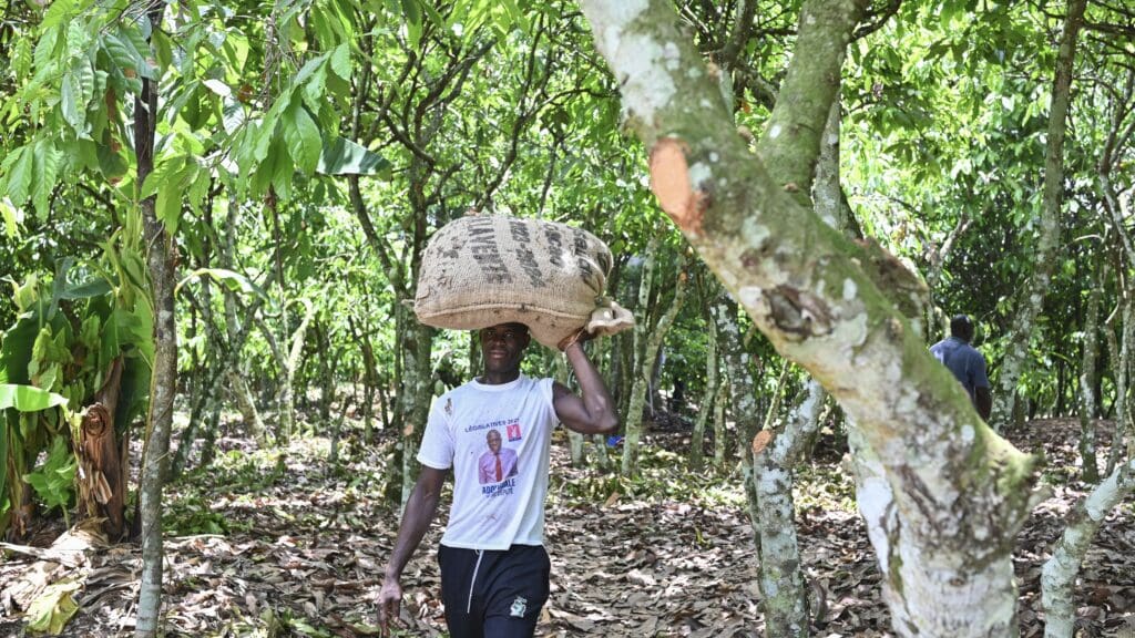 The Bittersweet Future of Unaffordable Chocolate