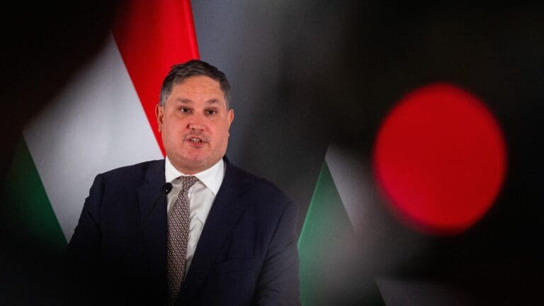 Hungarian Economy Minister Meets with German Business Leaders to Strengthen Bilateral Ties