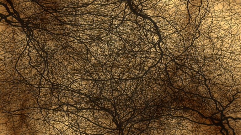 Hungarian Researchers Unveil Synapse Mechanisms with High-Resolution Microscopy