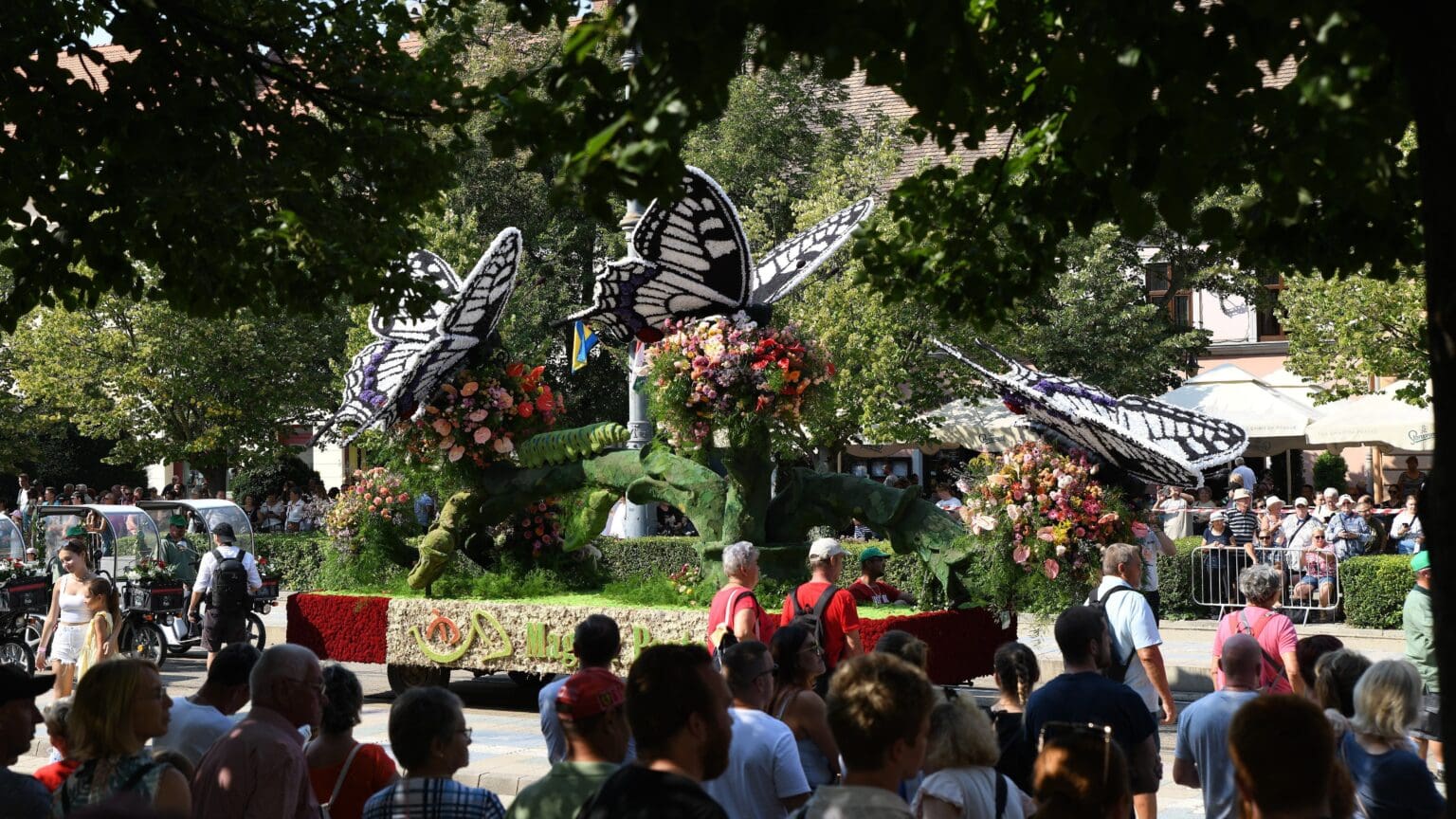 Debrecen’s Flower Carnival to Feature International Performers and Light Shows