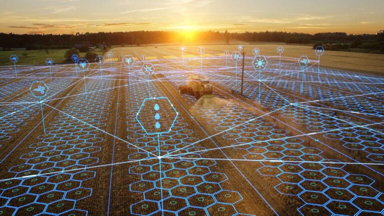 EBRD AgVenture 2024 Green Tech Competition Sees Hungarian Winner