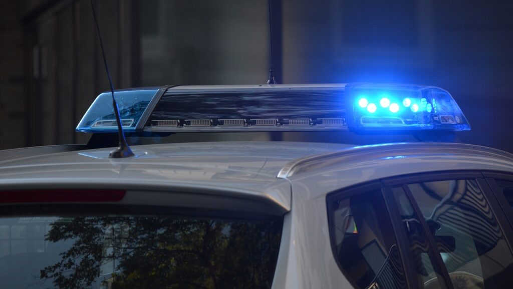 Irishman Confesses to Killing US Citizen Mackenzie Michalski in Budapest