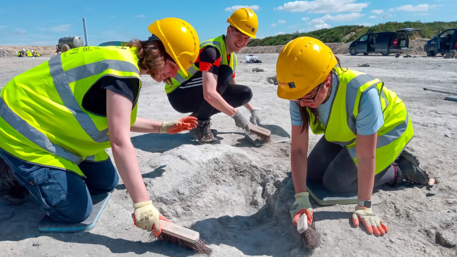 New Dinosaur Species Discovered in Transylvania Challenge Previous Theories