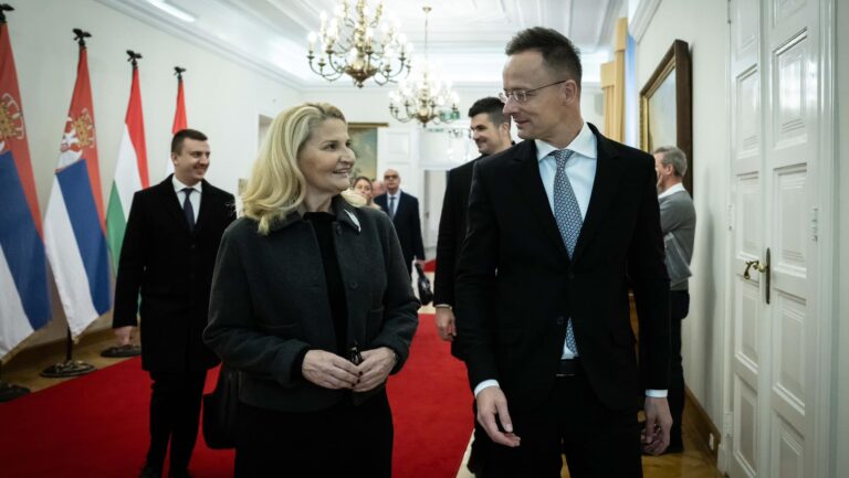 Hungarian FM Labels Serbian Protests as Colour Revolution Attempt