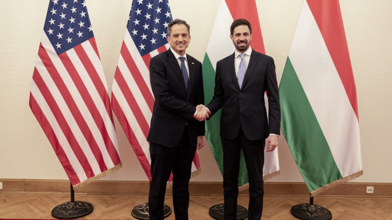 Interim US Envoy Robert Palladino Eyes Stronger US–Hungary Relations