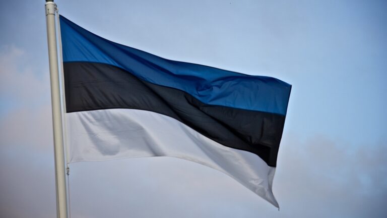 Estonia FM: ‘Hungary is part of Putin’s team’