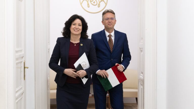 Minister Hankó Touts Hungarian Family Policy Achievements at KINCS Event