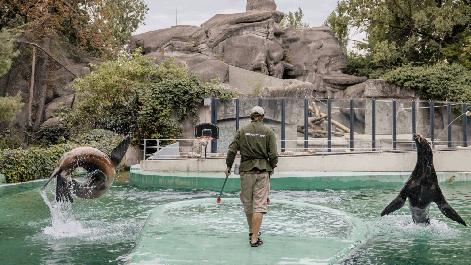 Explore the Secrets of the Zoo after Dark in Exclusive Guided Tours