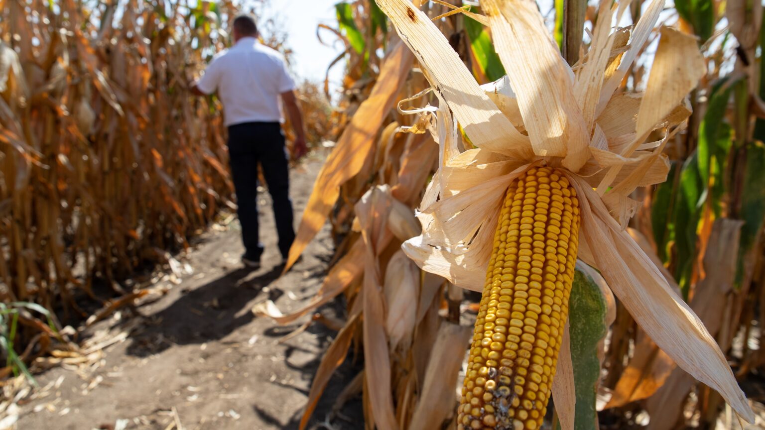 Hungary Backs Countryside Development with Strategic Policing Partnership