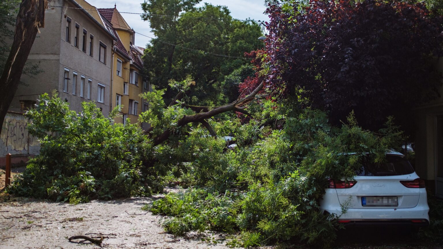 Destructive Winds Topple Trees and Damage Buildings Across Hungary