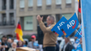 AfD Triples Gains in NRW Elections Shadowed by Candidate Deaths