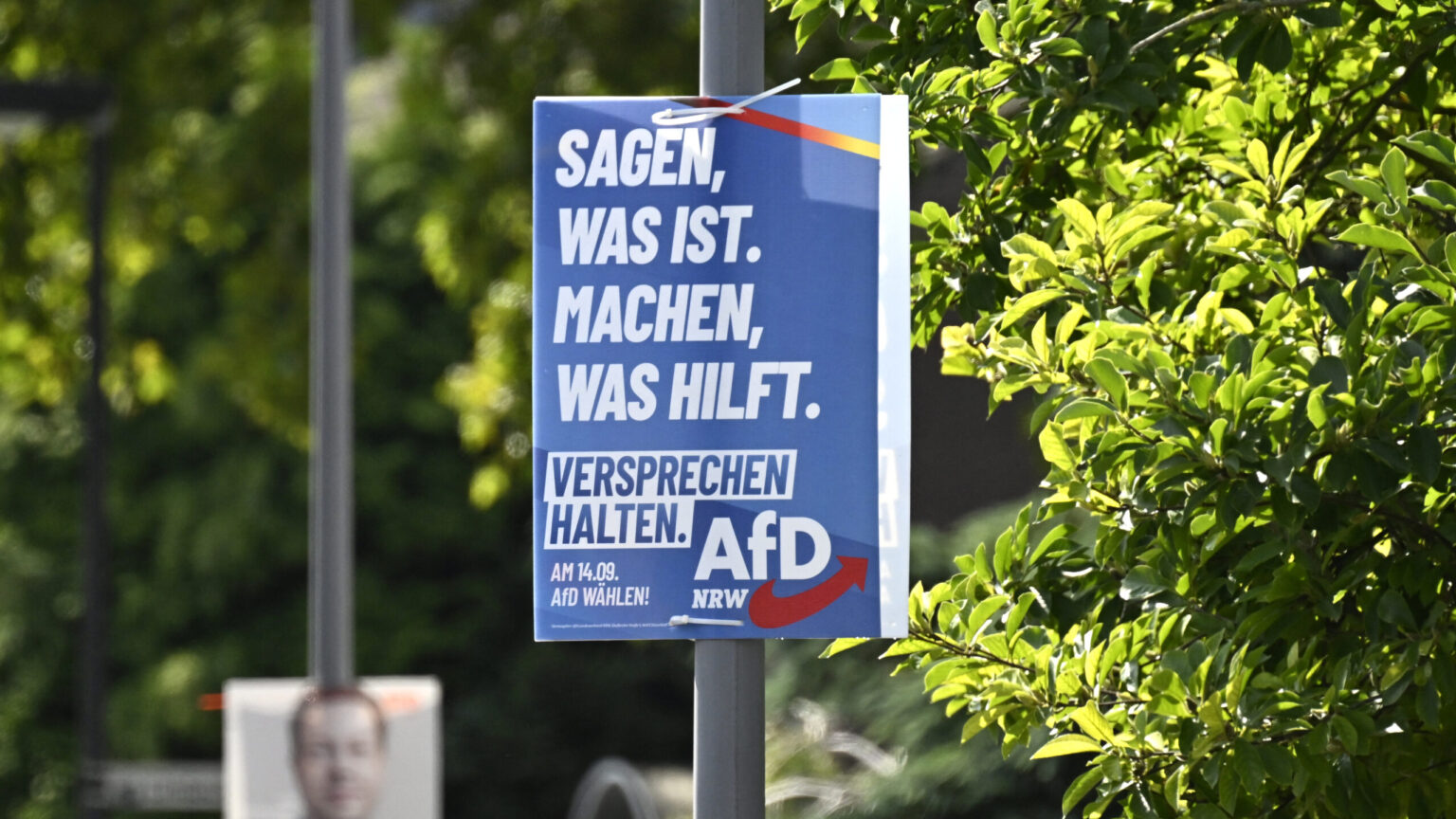 AfD Candidate Deaths Rise to Seven Ahead of NRW Vote, Police Deny Crime Involved