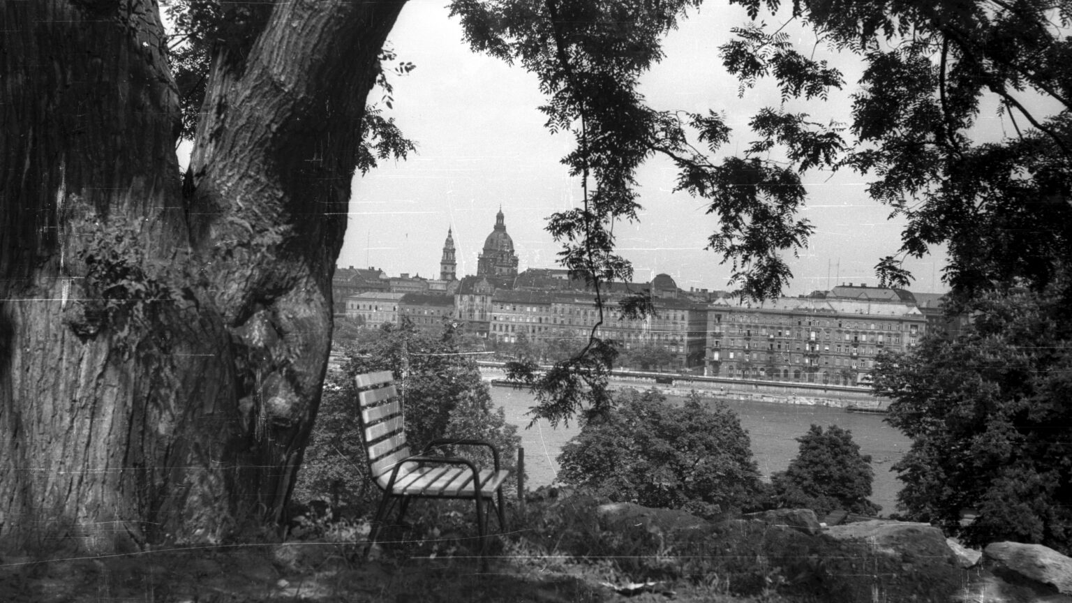 Hippies, Nazis, Bums? The ‘Big Tree Gang’ under Investigation