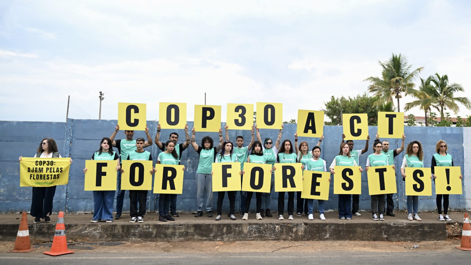 Before COP30: Expectations and Challenges of the Global Climate Negotiations