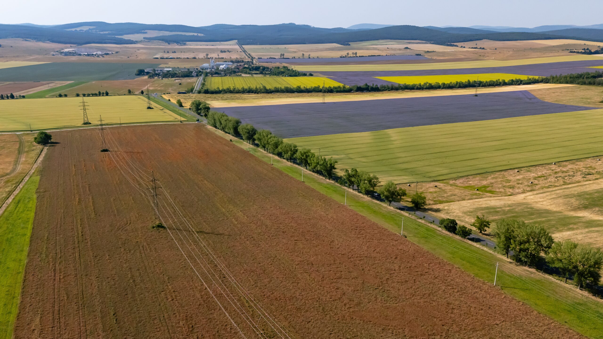 Record Funding Boosts Hungarian Agriculture and Rural Communities
