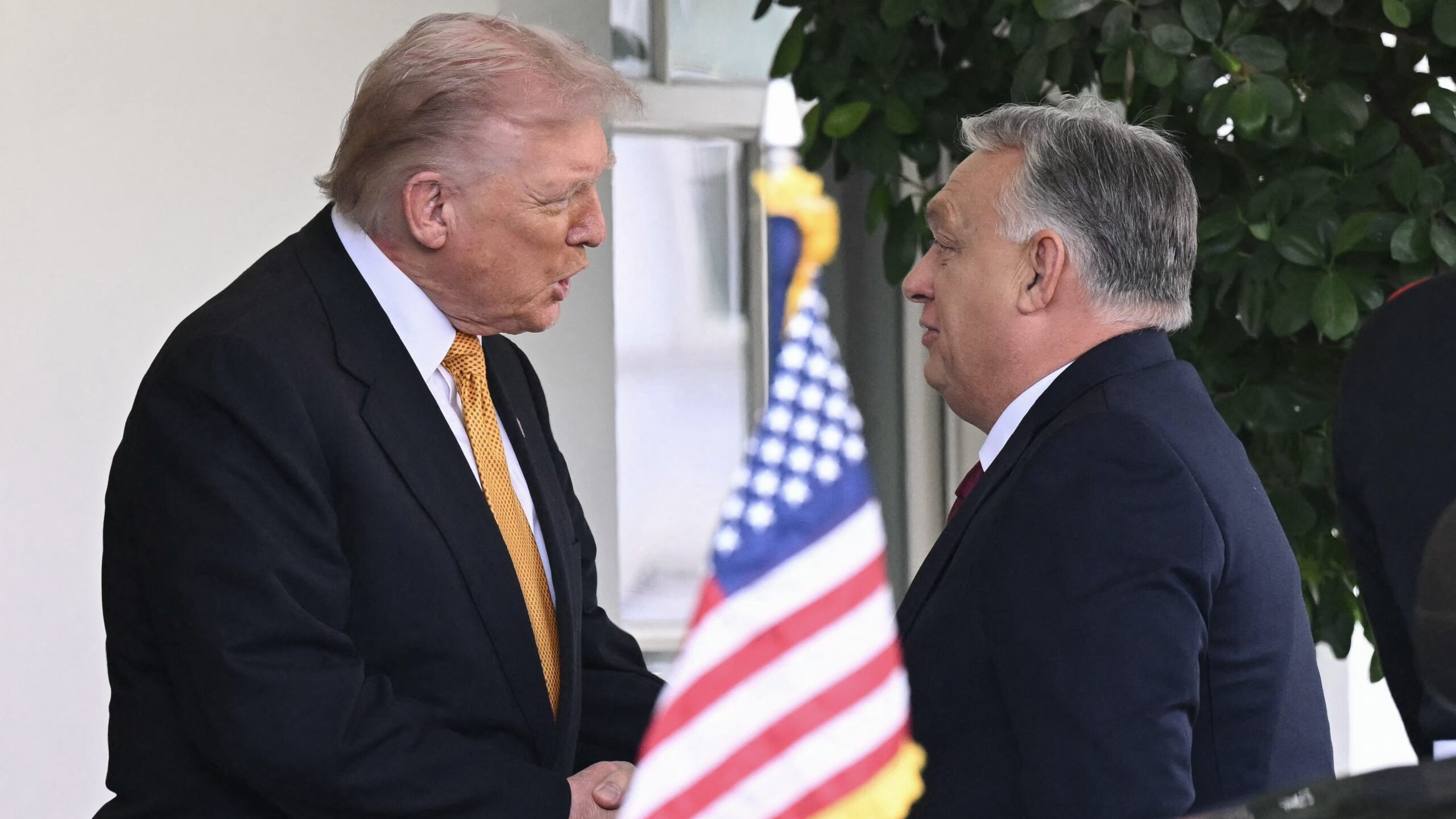 (L/R) US President Donald Trump greets Hungarian Prime Minister Viktor Orban outside the West Wing of the White House in Washington, DC on November 7, 2025. (Photo by SAUL LOEB / AFP)