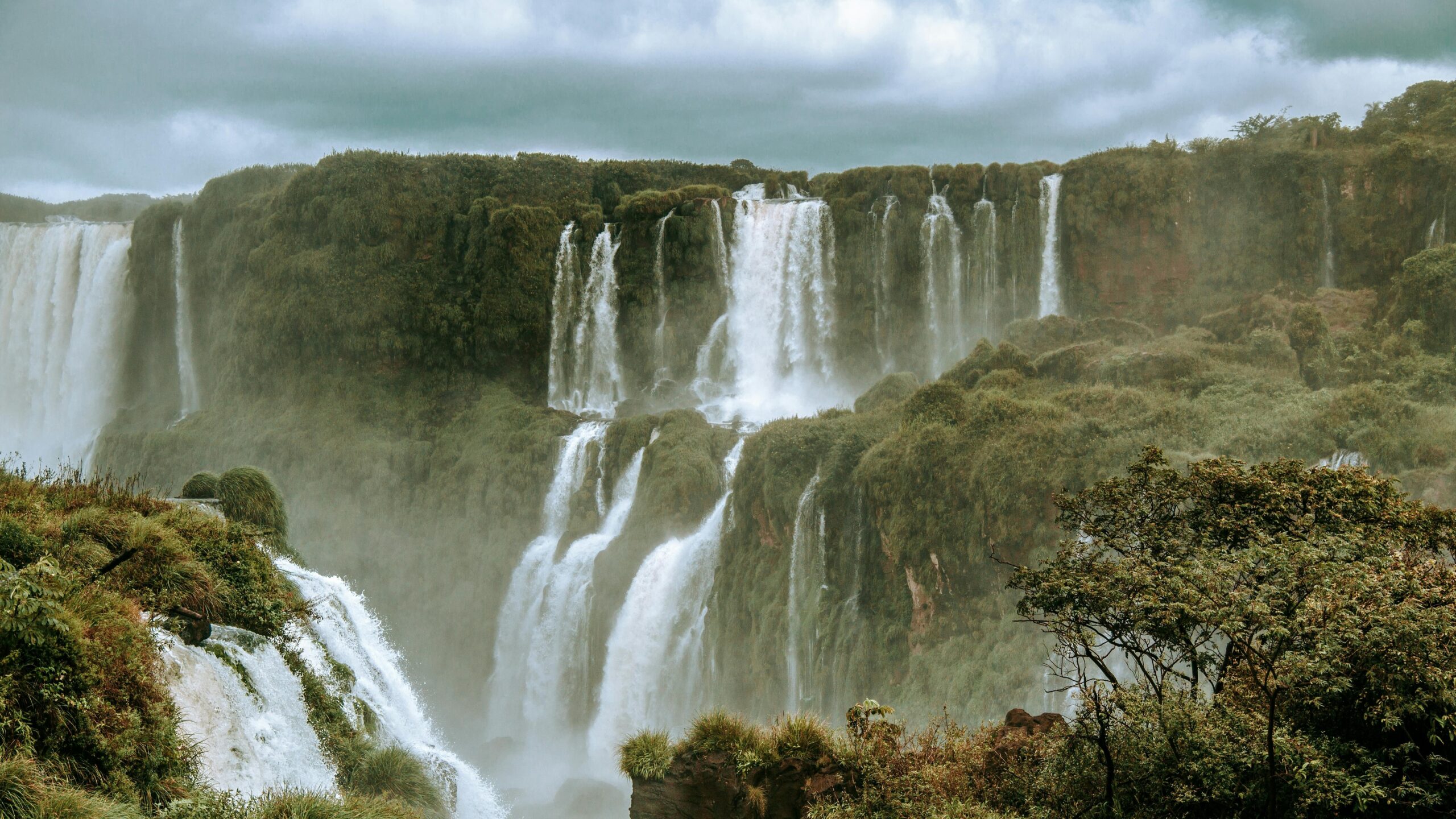 Brazil’s Green Transition: Many Conundrums Ahead