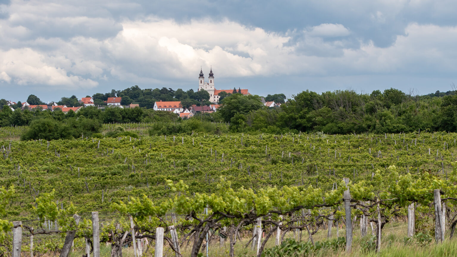 Hungary Calls for Flexible and Predictable EU Environmental Policy