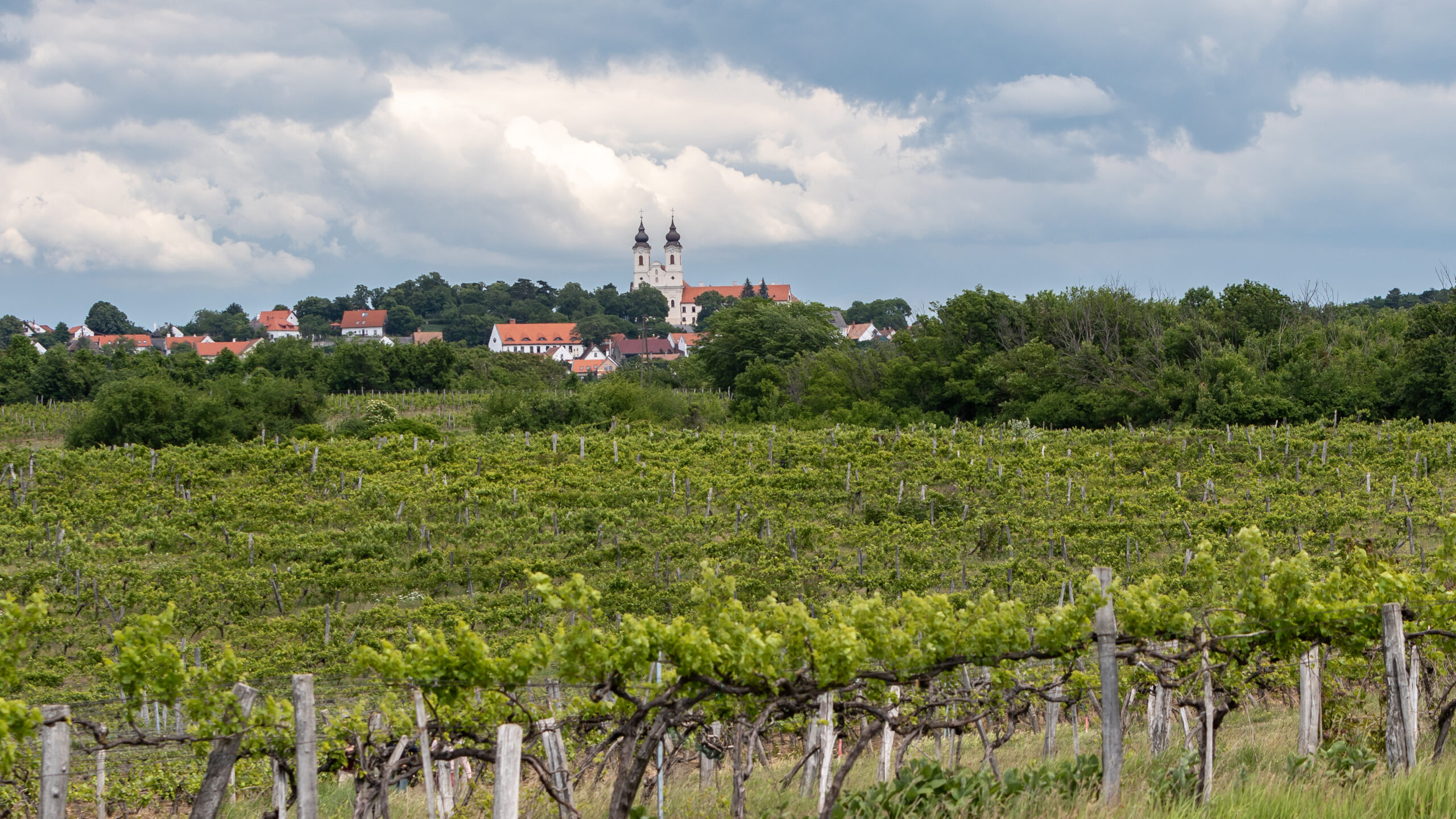 Hungary Calls for Flexible and Predictable EU Environmental Policy