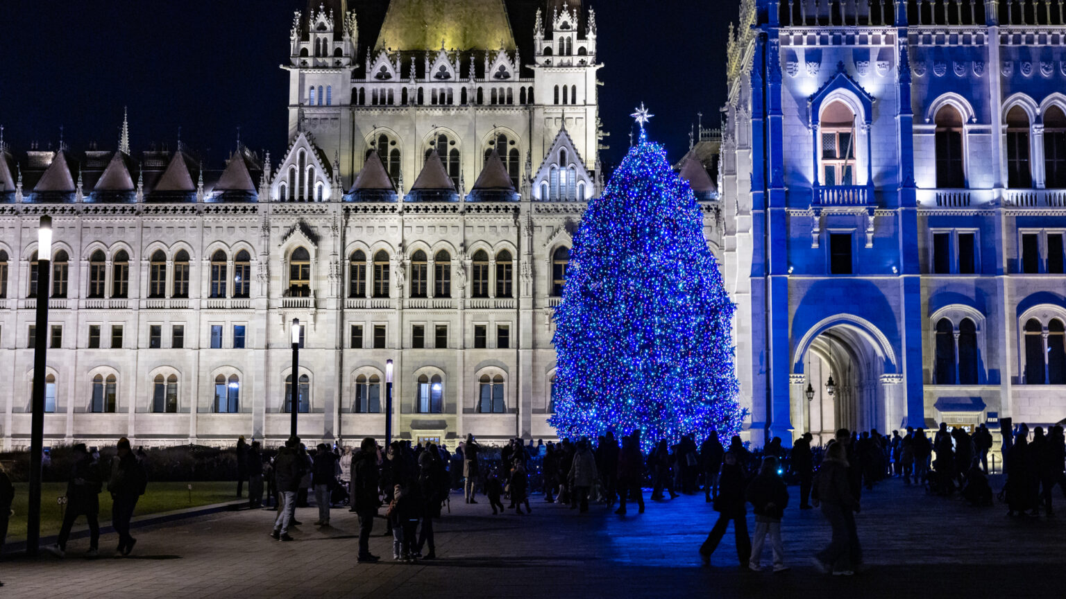 Real Pines Offer Environmental Benefits over Artificial Christmas Trees